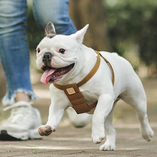 美品■QUDHITAP■ハーネス＆リード■クチタプ QUCHITAP（クチタプ） CEBONNERコレクション ハーネス(胴輪) 犬用 セ
