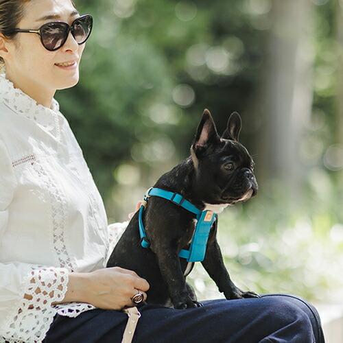 美品■QUDHITAP■ハーネス＆リード■クチタプ QUCHITAP（クチタプ） CEBONNERコレクション ハーネス(胴輪) 全2