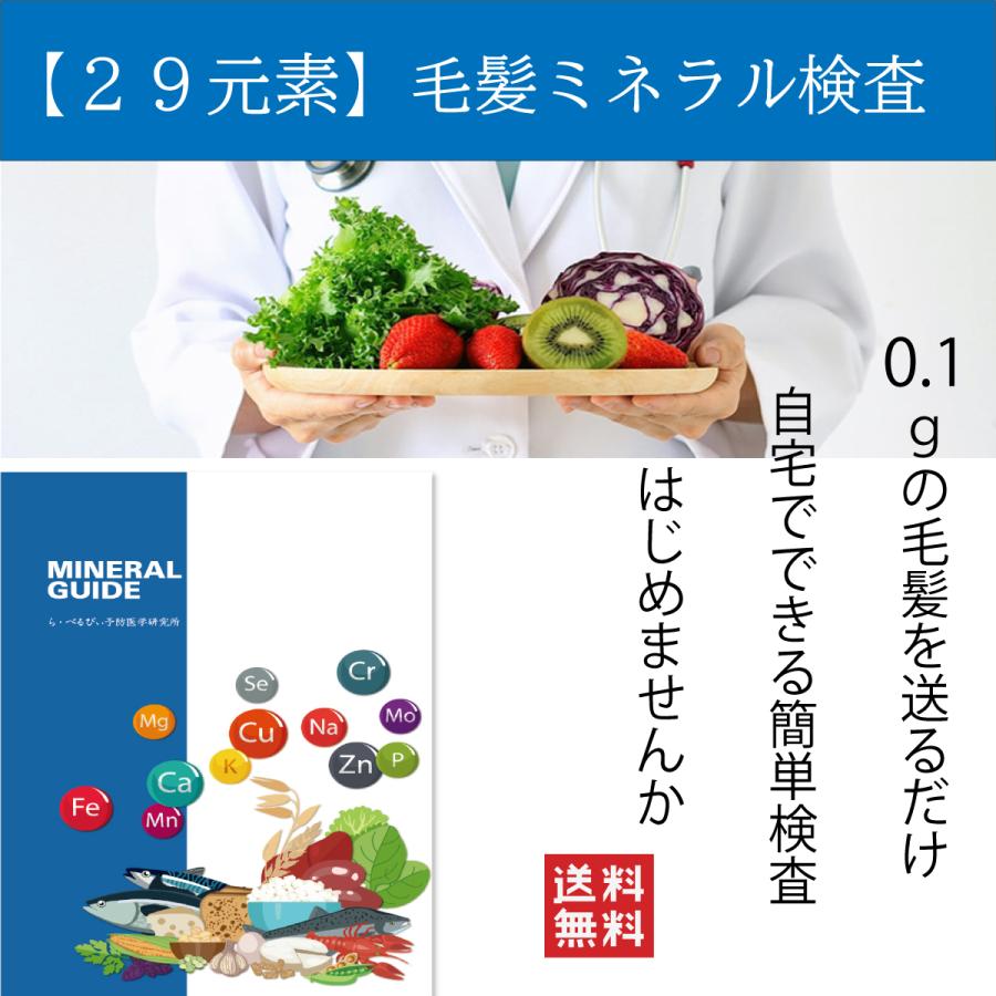 年最新海外 毛髪ミネラル検査 体内のミネラルバランスと有害金属の蓄積をチェック 全国一律 新しいコレクション Acenta Tatilcity Net