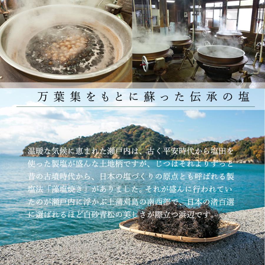 海人の藻塩 スタンドパック100g | 海人の藻塩 | 01