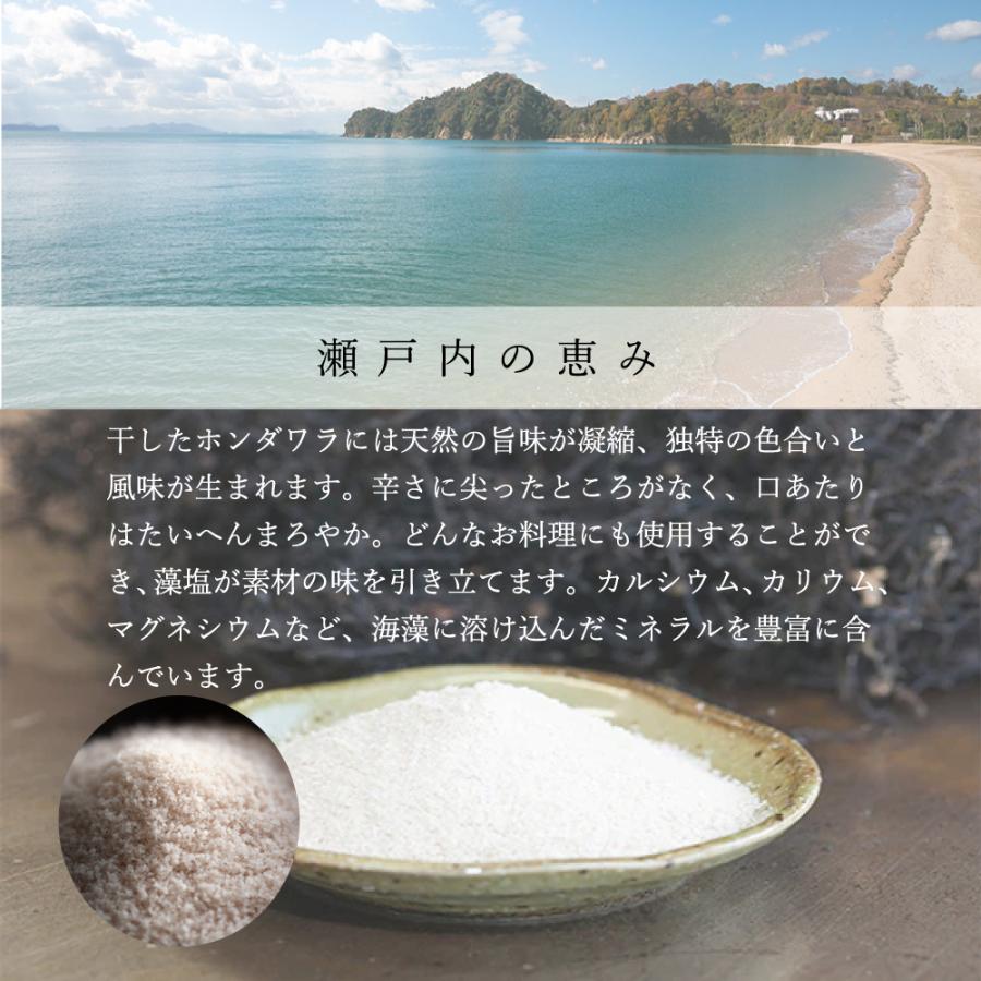海人の藻塩 スタンドパック100g | 海人の藻塩 | 02