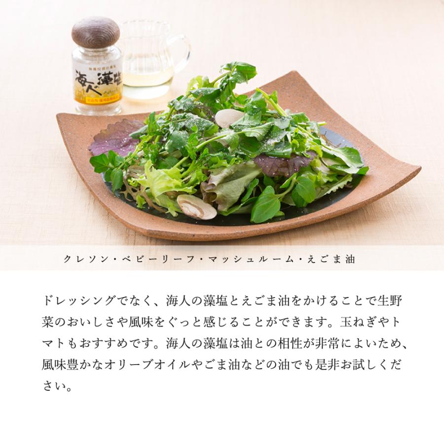 海人の藻塩 スタンドパック100g | 海人の藻塩 | 04