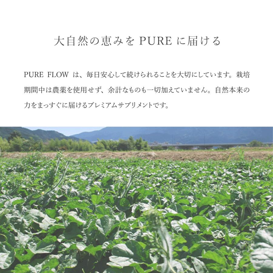 PURE FLOW ピュアフロー 巡り  │カラハリスイカ・大和当帰・生姜・柚子 | 植物サプリメント |  | 03