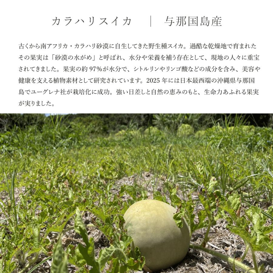 PURE FLOW ピュアフロー 巡り  │カラハリスイカ・大和当帰・生姜・柚子 | 植物サプリメント |  | 06