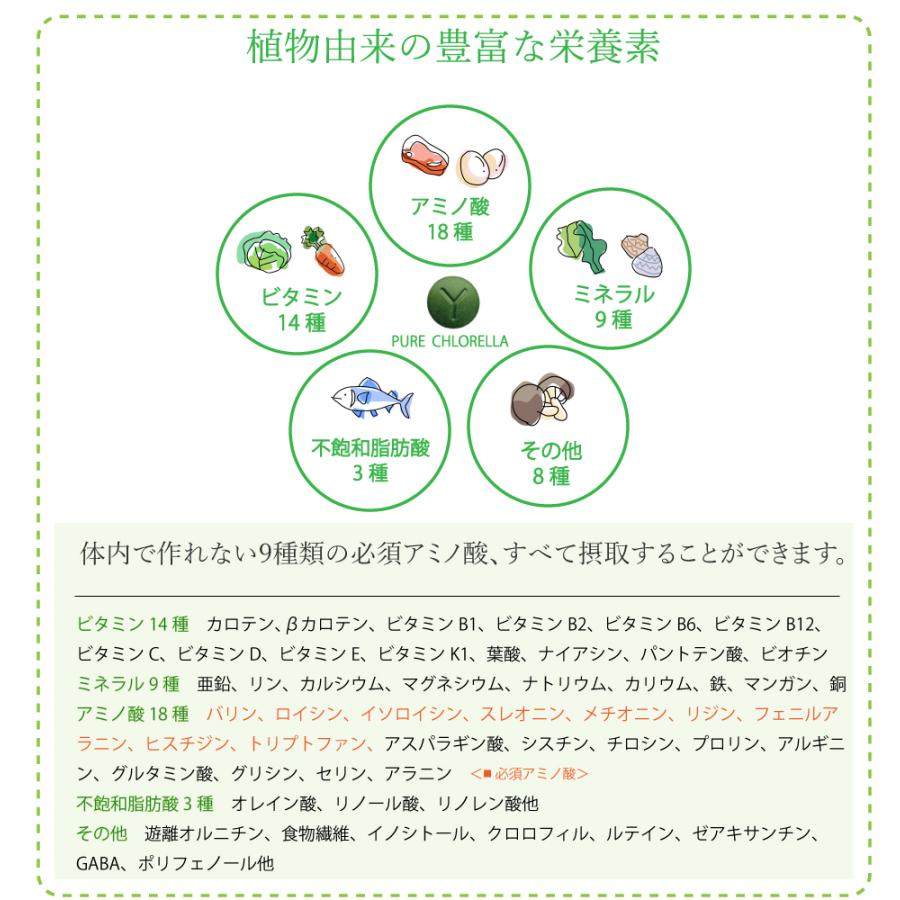 八重山クロレラ 300粒 石垣島産【 ピュアクロレラ 】無添加 八重山殖産