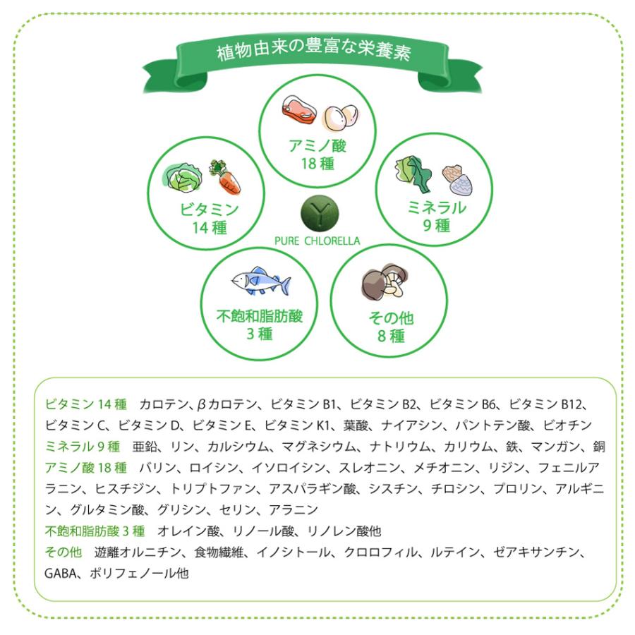 八重山クロレラ 900粒 石垣島産【 ピュアクロレラ 】3ヶ月分 無添加 八重山殖産 クロレラ サプリメント |  | 02