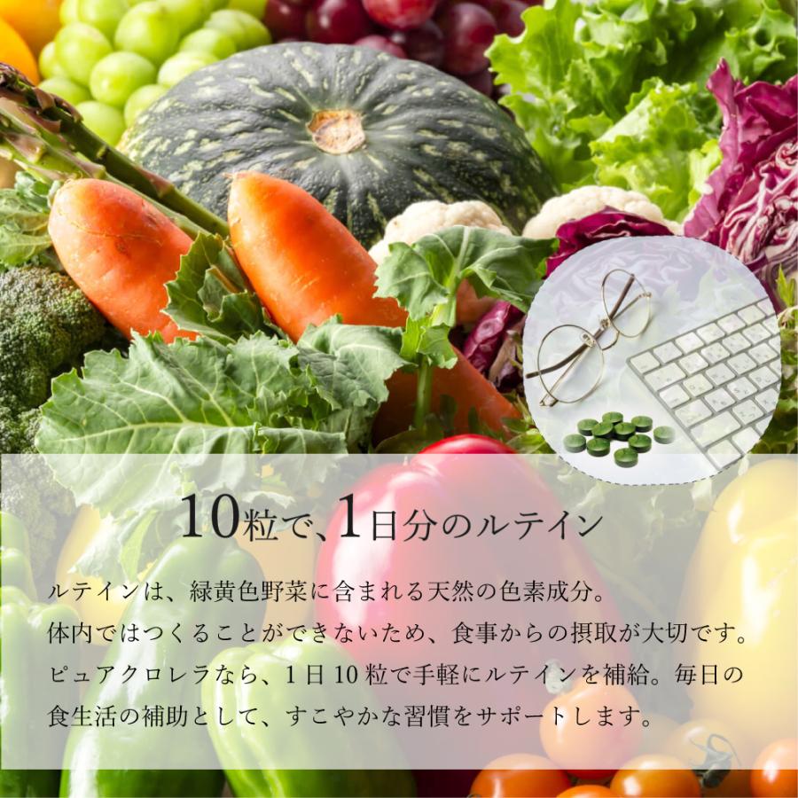 八重山クロレラ 900粒 石垣島産【 ピュアクロレラ 】3ヶ月分 無添加 八重山殖産 クロレラ サプリメント |  | 07