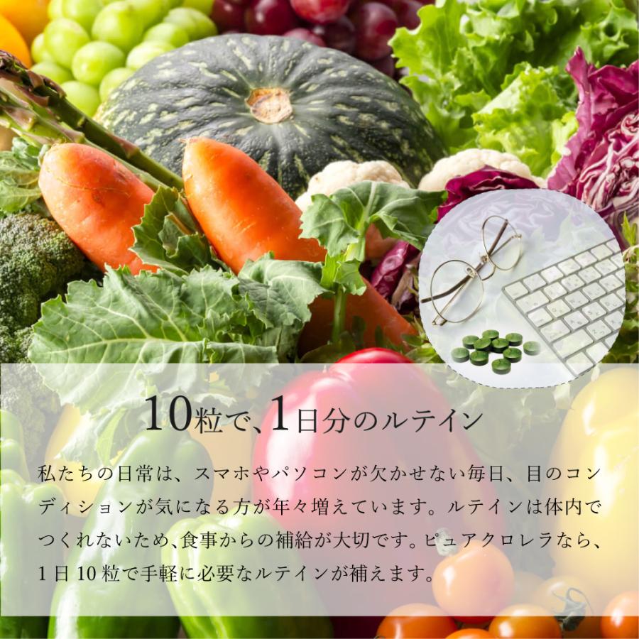 八重山クロレラ 900粒 石垣島産【 ピュアクロレラ 】3ヶ月分 無添加 