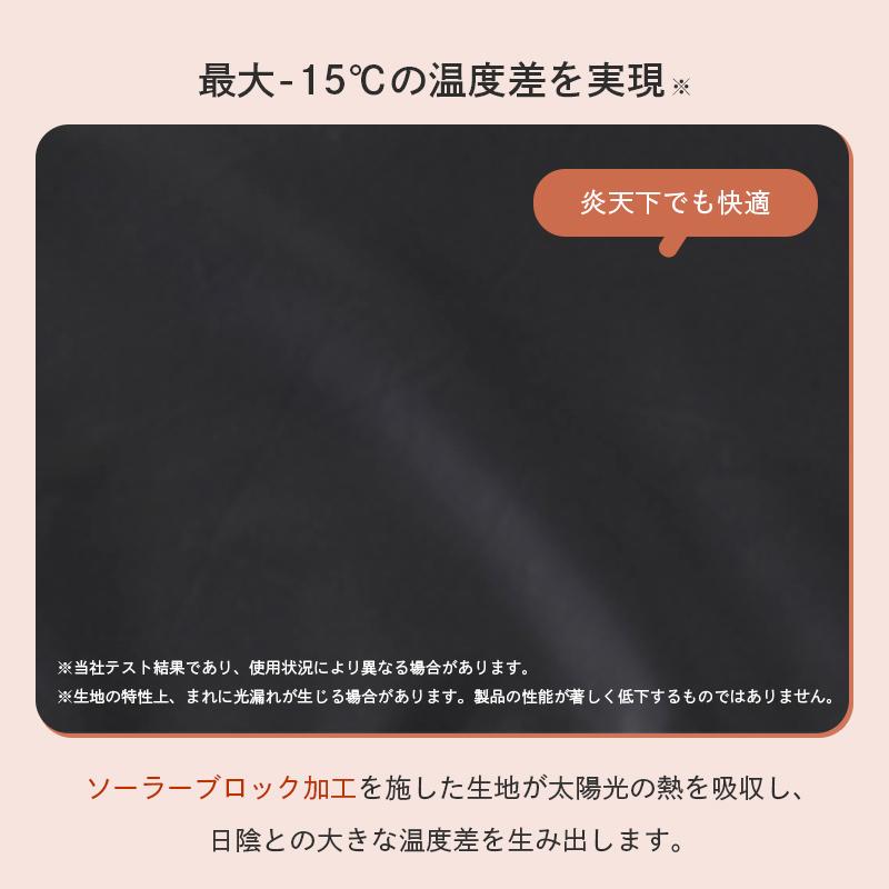 LOGOS（ロゴス） 公式 プレミアム ソーラーヘキサタープ L-BB ポール