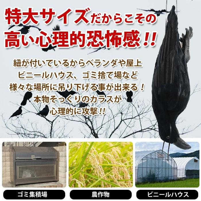 カラスよけ ログソルJAPAN 特大 リアル ダミー 本物そっくり 羽毛 撃退
