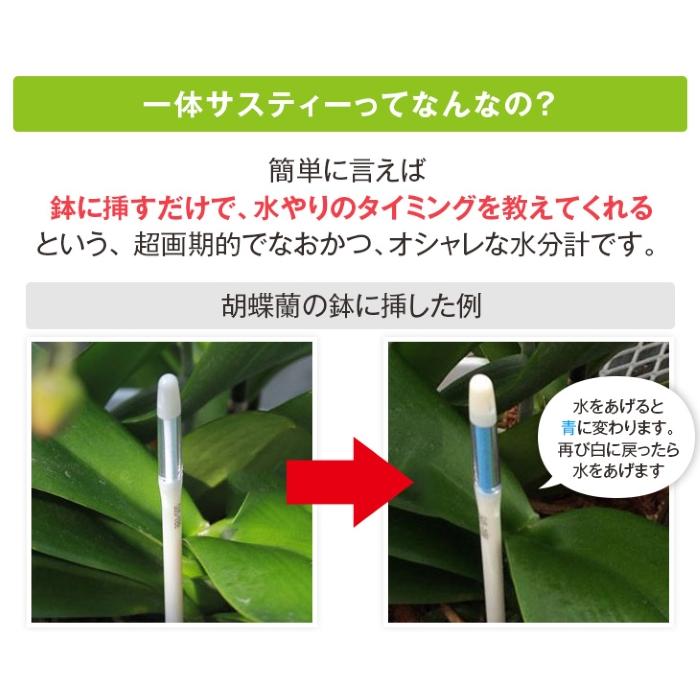 SUSTEE ☆ 水分チェッカー 水やりのタイミングがわかる水分計 M