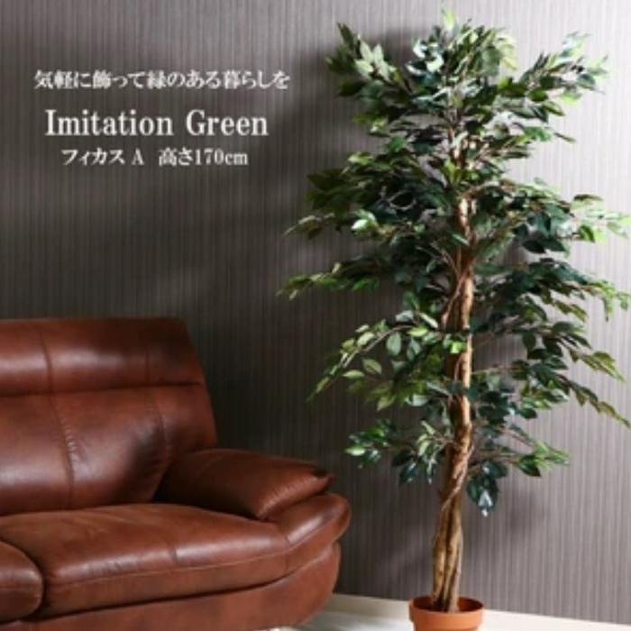 観葉植物 フィカス 1124 A 完成品 オフィスやご自宅に 水やり不要 