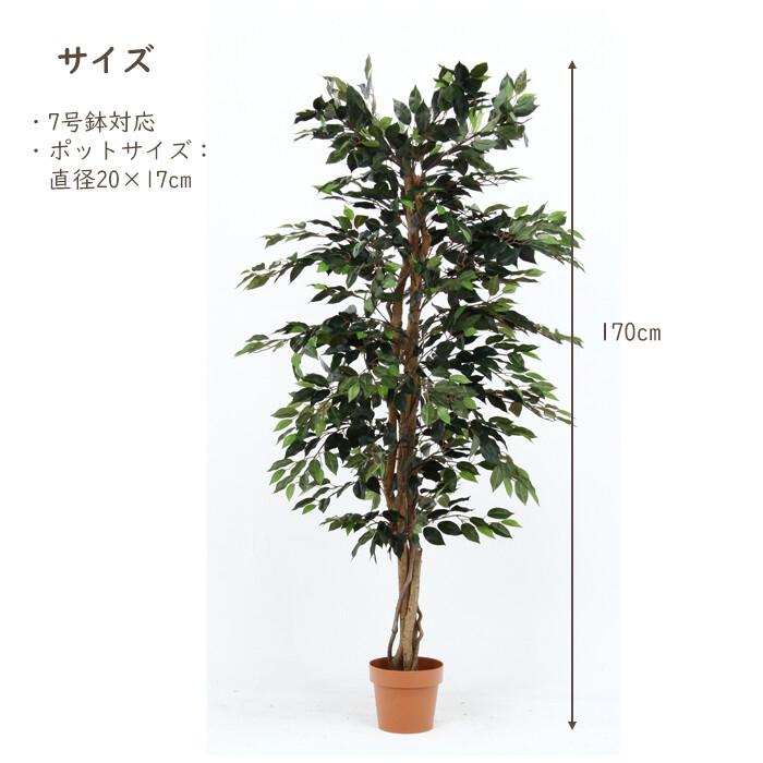観葉植物 フィカス 1124 A 完成品 オフィスやご自宅に 水やり不要 