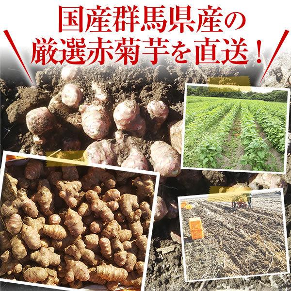 【感謝セール期間限定ｐ5倍】赤菊芋 お試し 約1kg 群馬県産 土付き 菊芋 生 キクイモ 国産 イヌリン  きくいも 送料無料※北海道・九州・離島+100円、沖縄+200円｜lohas-food｜03