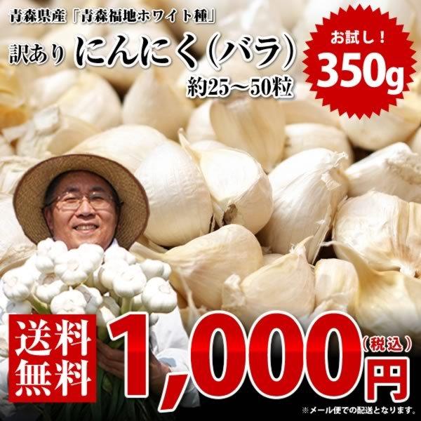 にんにく 送料無料 令和3年 新物 訳あり お試し 青森県産 青森福地 