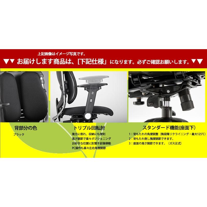ハラチェア ハラチェアー ニーチェ トリプル回転肘 2座面 ハラ パソコンチェア 疲れにくい Haraチェア 高機能 ブラック おしゃれ オシャレ 激安 Pro Niche Ar391 Tr K Bk ロハスインテリア 通販 Yahoo ショッピング