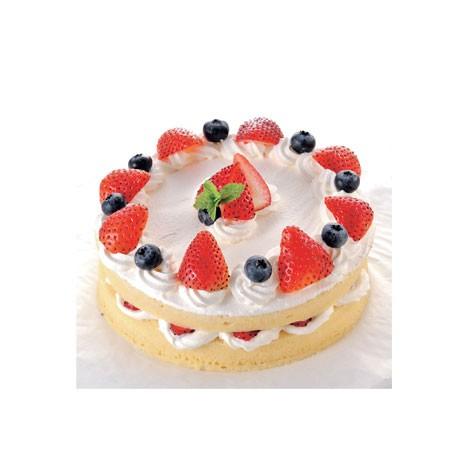 ケーキ型 スポンジケーキセット 丸型 ハート型 18cm tou-tig-221983  