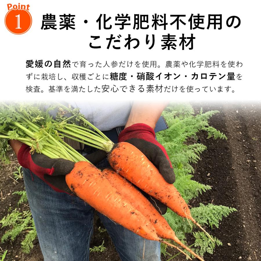 無添加 真空フライ にんじんチップス ザ・人参 20g 無農薬人参を皮ごと