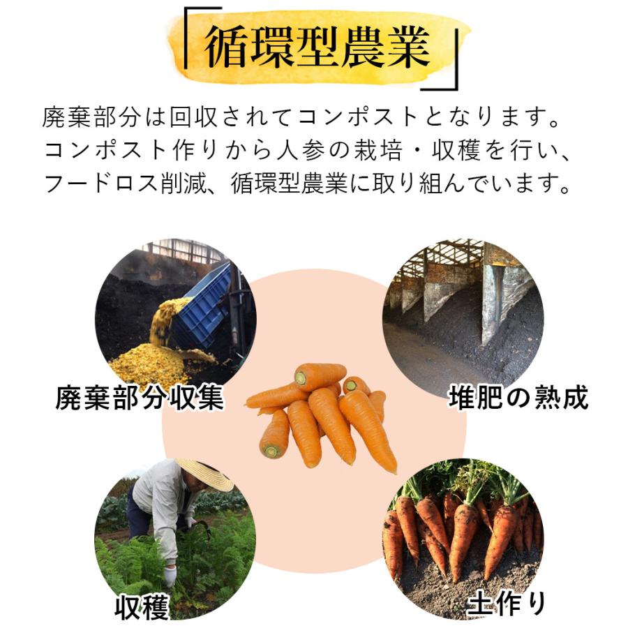 40%の衝撃 無添加 にんじんドレッシング ザ・人参 無農薬人参