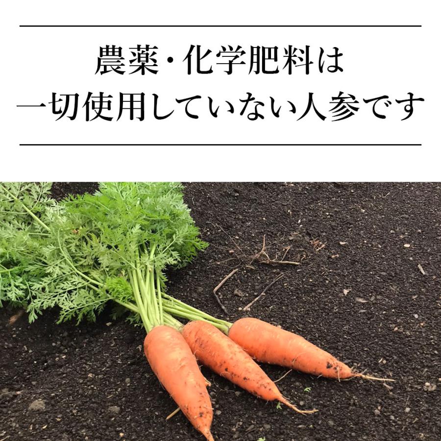 人参ジュース 無添加 ザ・人参 720g×12本 にんじんジュース 無農薬人参 野菜ジュース 送料無料 一部地域を除く_5