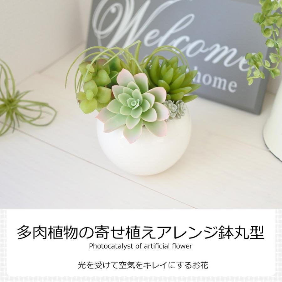 光触媒 アーティフィシャルフラ ワー 造花 多肉植物の寄せ植 えアレンジ鉢丸型 消臭 除菌 環境改 善 光を受けて繰り返すお花 ロハスショップ ヤフー店 通販 Yahoo ショッピング