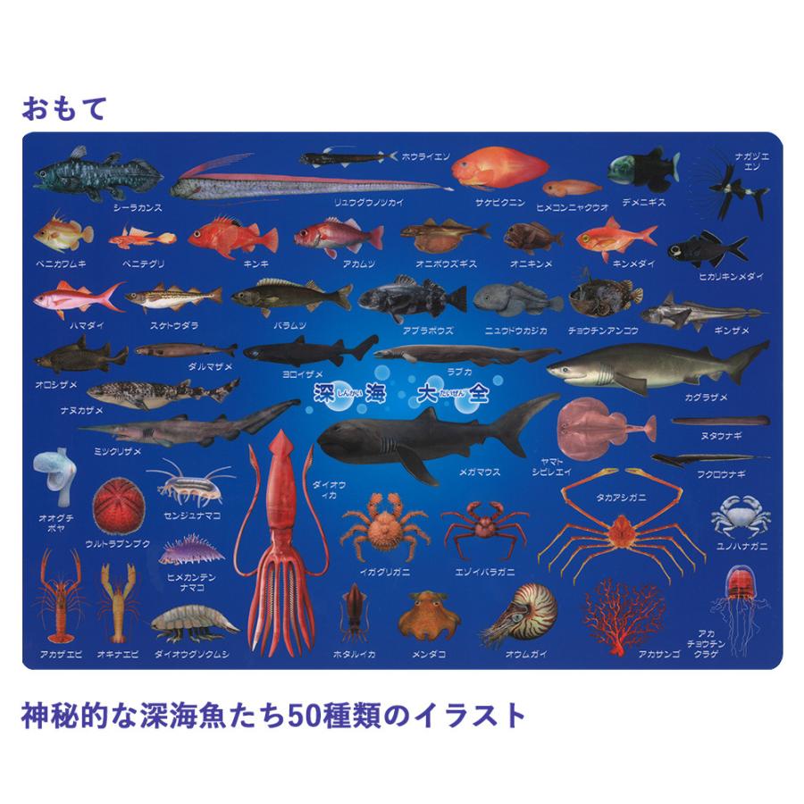 下敷き 深海大全 深海魚 ザ・アクセス A4 図鑑 文房具 雑貨 プレゼント