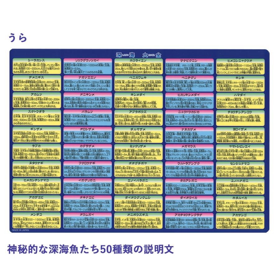 下敷き 深海大全 深海魚 ザ・アクセス A4 図鑑 文房具 雑貨 プレゼント