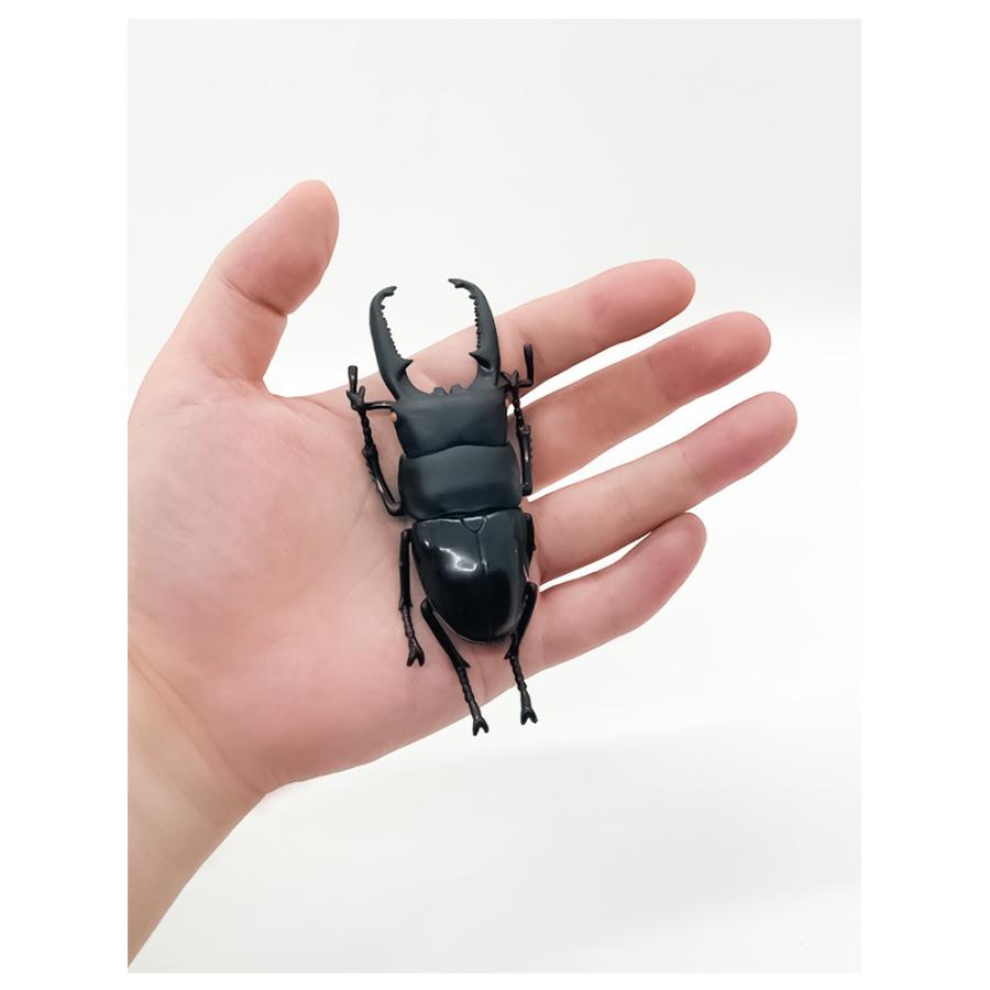 ザ アクセス 立体昆虫図鑑 リアルフィギュア 世界のカブトムシ 世界のクワガタと甲虫大全下敷きセット ロハスショップ ヤフー店 通販 Yahoo ショッピング