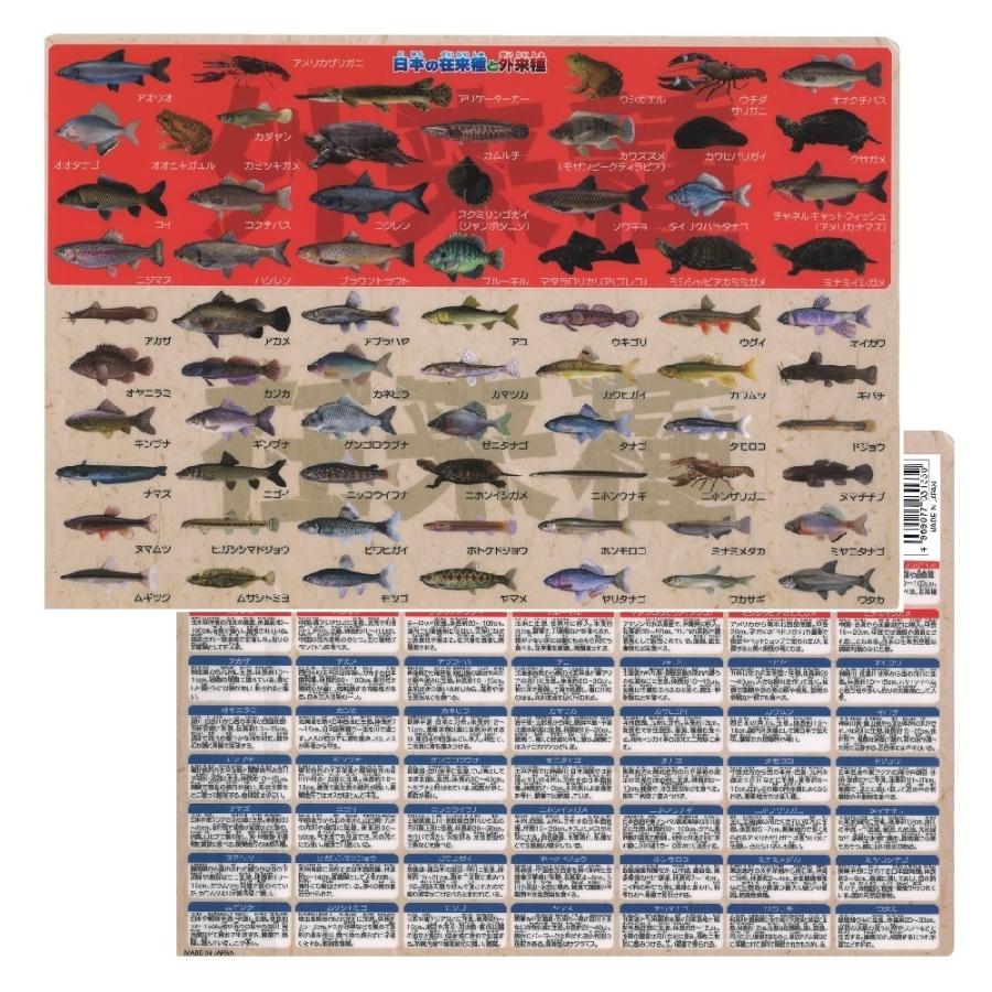 まるまる　下敷きコレクション vol. 2 全14種 下敷き 日本の在来種と外来種下敷き 魚 ザ・アクセス A4 図鑑 文房具