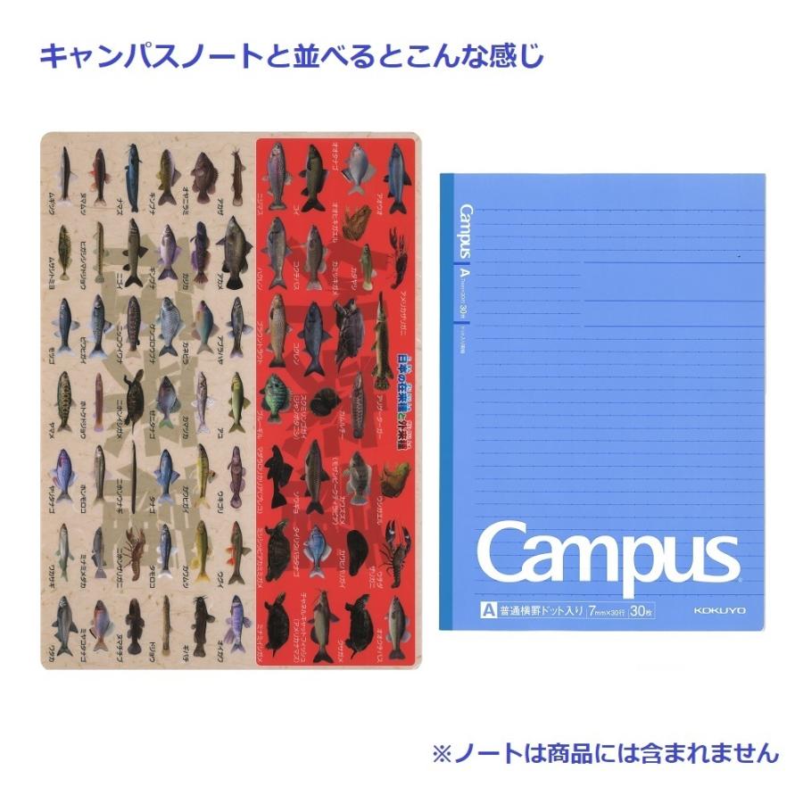 下敷き 日本の在来種と外来種下敷き 魚 ザ・アクセス A4 図鑑 文房具