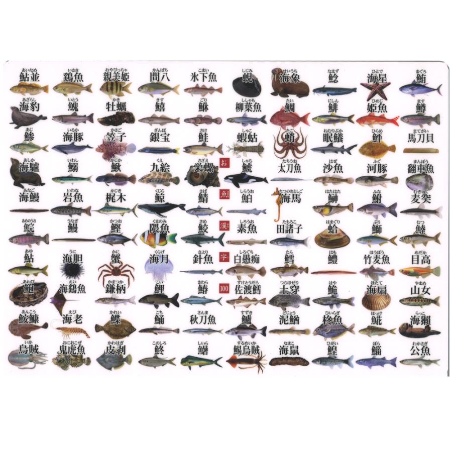 下敷き お魚漢字100 ザ・アクセス A4 図鑑 文房具 雑貨 下敷き お魚漢字100 ザ・アクセス A4 図鑑 文房具 雑貨