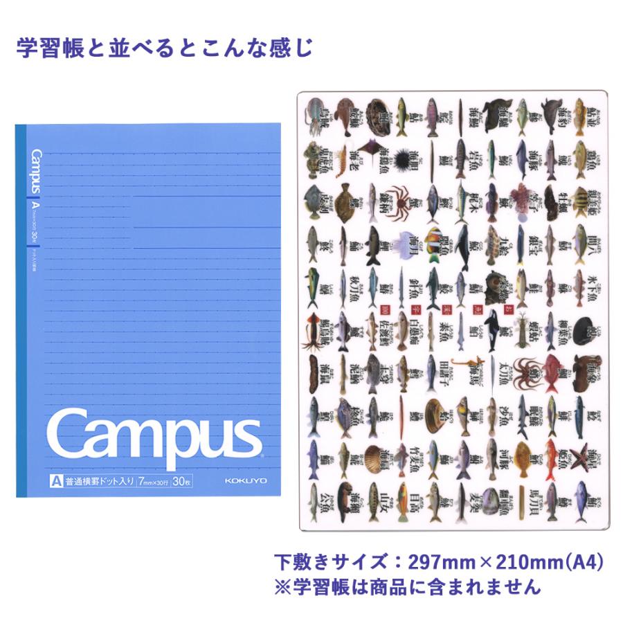 下敷き　お魚漢字100　ザ・アクセス　A4 図鑑 文房具 雑貨 マニアック プレゼント おもしろグッズ ギフト 小学生 面白い ユニーク 自由研究｜lohasshop-y｜03