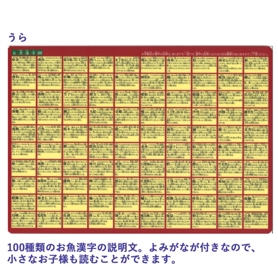 下敷き　お魚漢字100　ザ・アクセス　A4 図鑑 文房具 雑貨 マニアック プレゼント おもしろグッズ ギフト 小学生 面白い ユニーク 自由研究｜lohasshop-y｜05