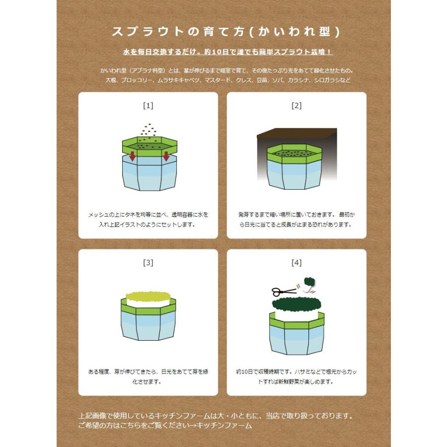 スプラウト用種 アルファルファ（農薬・化学肥料不使用） 300g｜lohasshop｜09