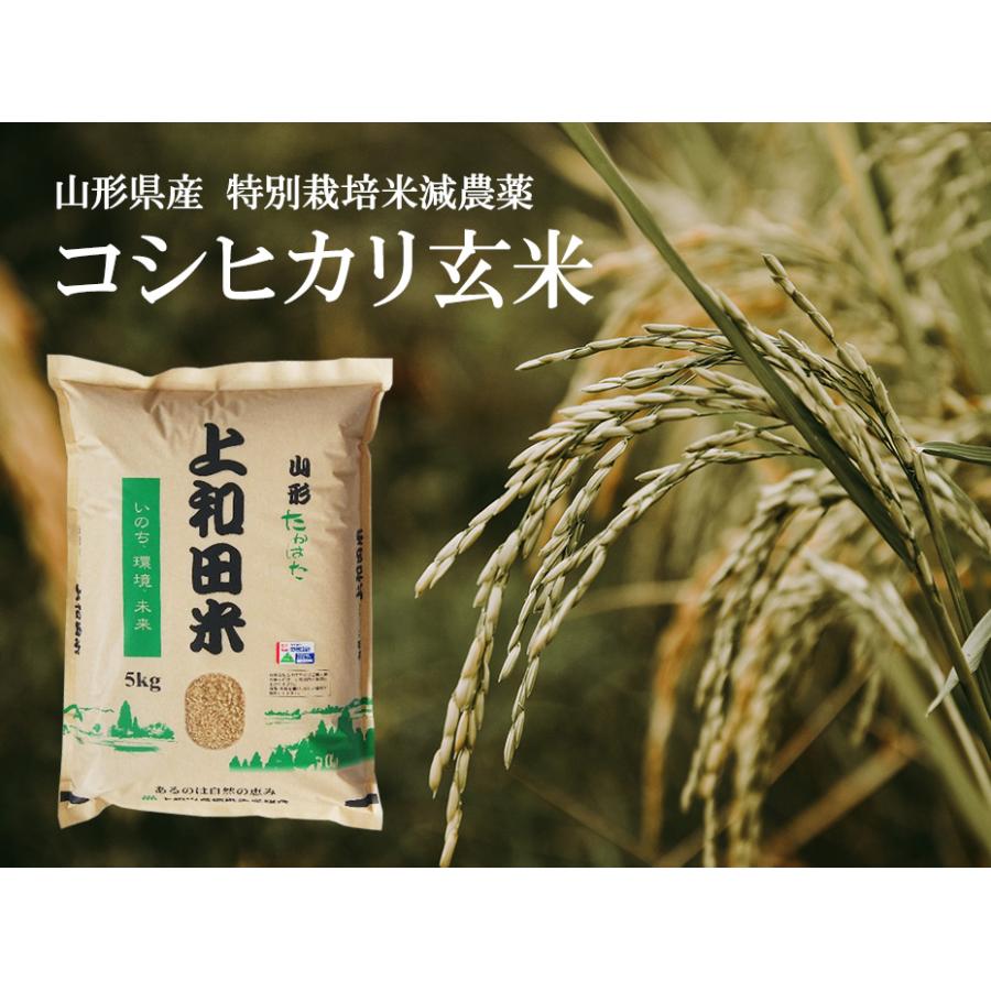 コシヒカリ 山形県産 コシヒカリ玄米 5kg 令和6年度産 特別栽培 コシヒカリ 山形県産 コシヒカリ玄米 5kg 令和6年度産 特別栽培