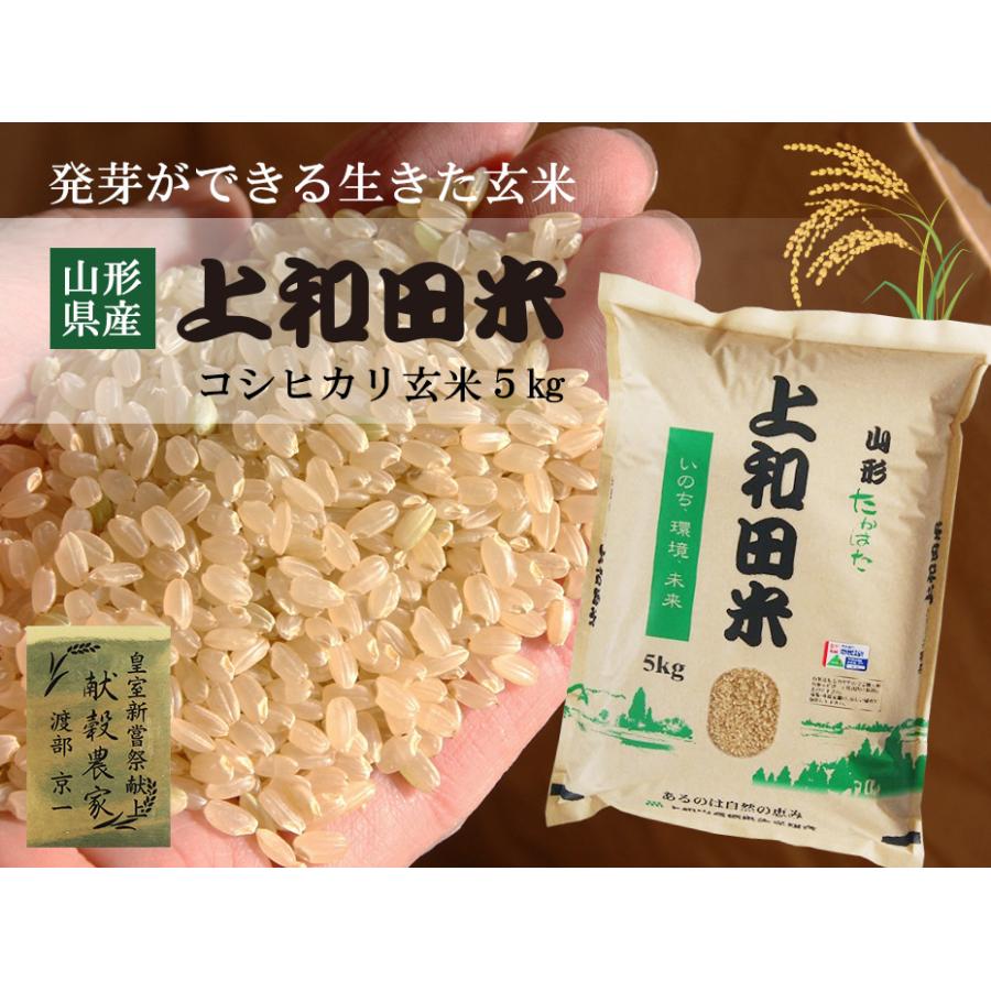 コシヒカリ 山形県産 コシヒカリ玄米 5kg 令和6年度産 特別栽培 コシヒカリ 山形県産 コシヒカリ玄米 5kg 令和6年度産 特別栽培