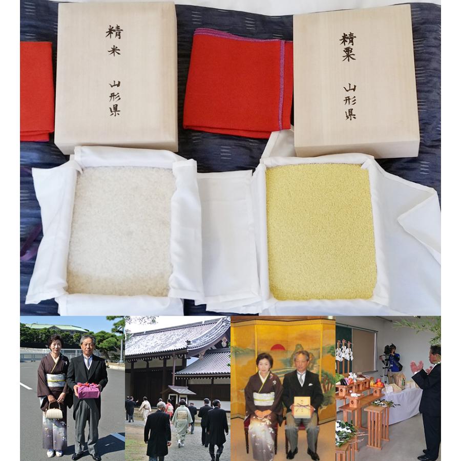 コシヒカリ 山形県産 コシヒカリ玄米 5kg 令和6年度産 特別栽培 コシヒカリ 山形県産 コシヒカリ玄米 5kg 令和6年度産 特別栽培