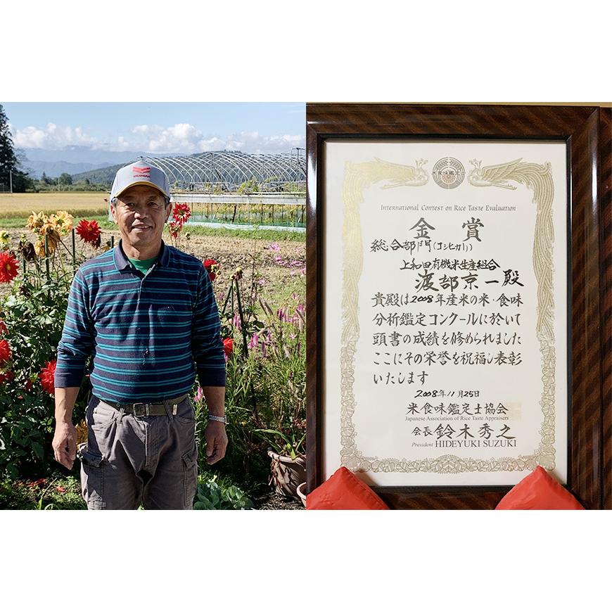 コシヒカリ 山形県産 コシヒカリ玄米 5kg 令和6年度産 特別栽培 コシヒカリ 山形県産 コシヒカリ玄米 5kg 令和6年度産 特別栽培