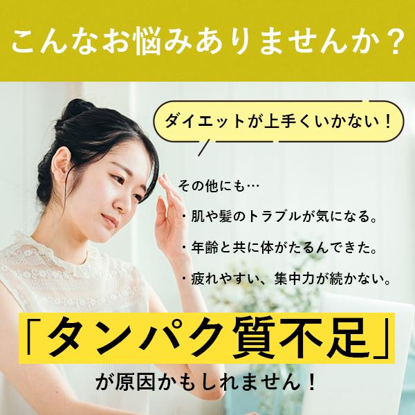 無料発送 のどごし滑らかなソイプロテイン 体づくりのサポートに ソイプロテイン ロハス 有機生カカオ配合 砂糖 人工甘味料不使用 大豆 非遺伝子組み換え 植物性100 アミノ酸スコア100 女性 ダイエット 500g 3袋 ココア味 プロテイン