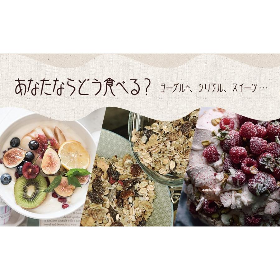 ポイント消化 ドライフルーツ ミックス 砂糖不使用 無添加 4種 250g 遺伝子組み換えでない おつまみ Mixdryfruits4 オーガニック ローフード Lohas 通販 Yahoo ショッピング