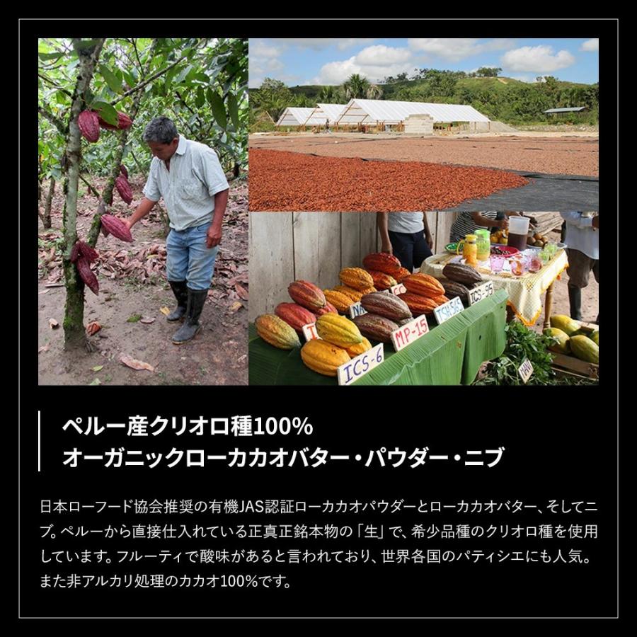 ローチョコレート手作りキット ベーシック レシピ付き 製菓材料 ローカカオ アガベシロップ お菓子作り 手作りスイーツ バレンタイン ロハス LOHAS_4