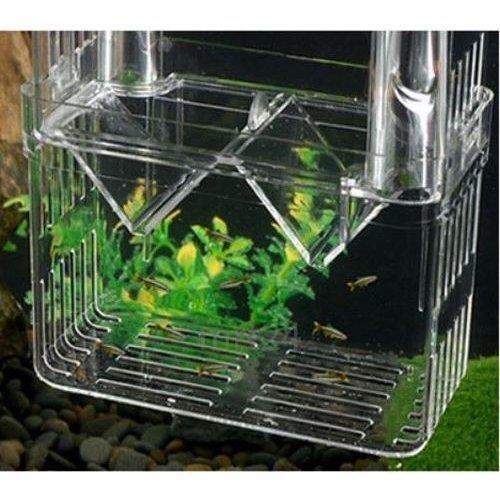 隔離ケース 繁殖隔離ボックス 産卵ケース 水槽用隔離用品 New 育成ケース 吸盤 くっつく 熱帯魚 鑑賞魚 金魚 透明 クリア アクアリウム用 Yhc Lohas2号店 通販 Yahoo ショッピング