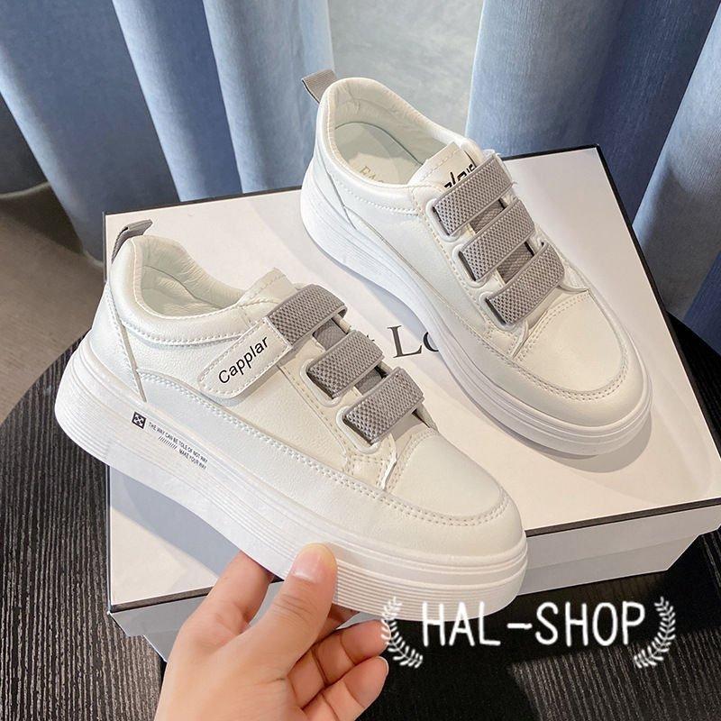 カジュアル スニーカー レディース 靴 レースアップ スリッポン 5cmヒール かわいい ストリート シンプル ファッション 美脚 歩きやすい 22 5 24 おしゃれ Ss35 Lohas Hal Shop 通販 Yahoo ショッピング