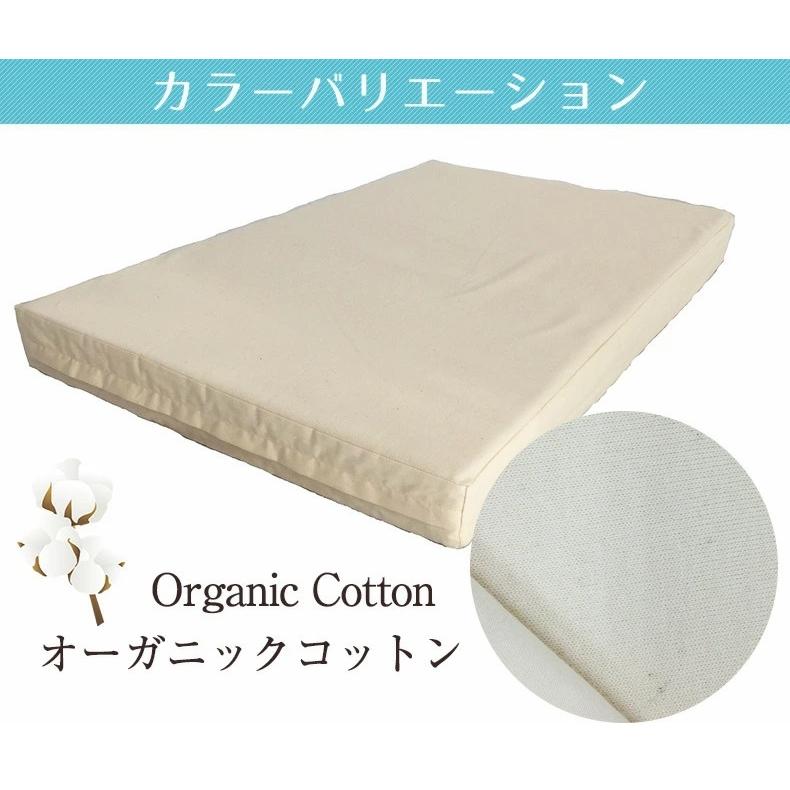 クッション 厚い 66.5×100×7.5cm LOHATEX ラテックス くつろぎ 座布団