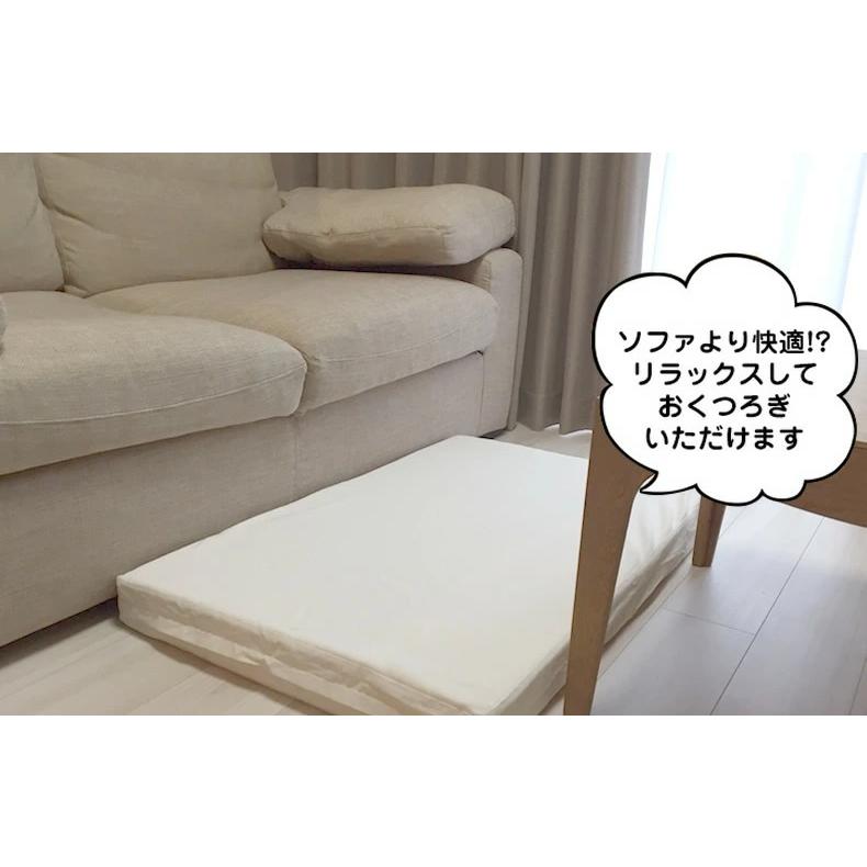 クッション 厚い 66.5×100×7.5cm LOHATEX ラテックス くつろぎ 座布団