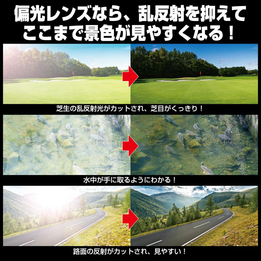 Kodak LENS × SAMURAI SHO] 哀川翔 サングラス 翔サングラス 偏光