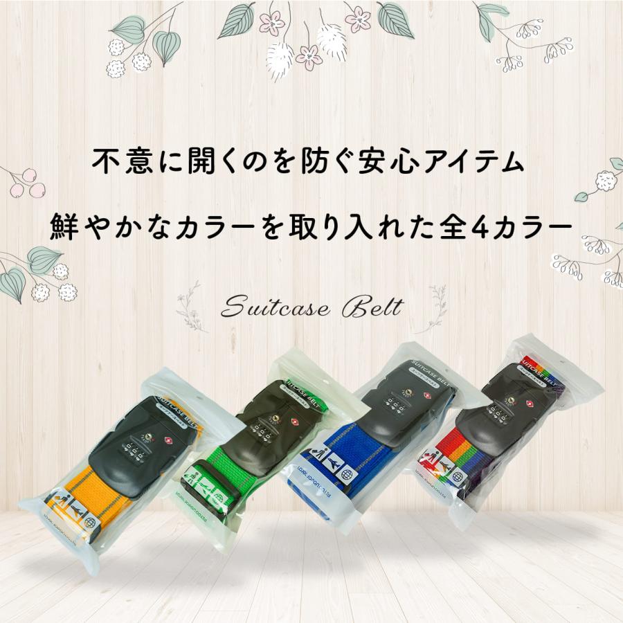 TRAVEL EARTH（トラベルアース） スーツケースベルト TSA トラベル