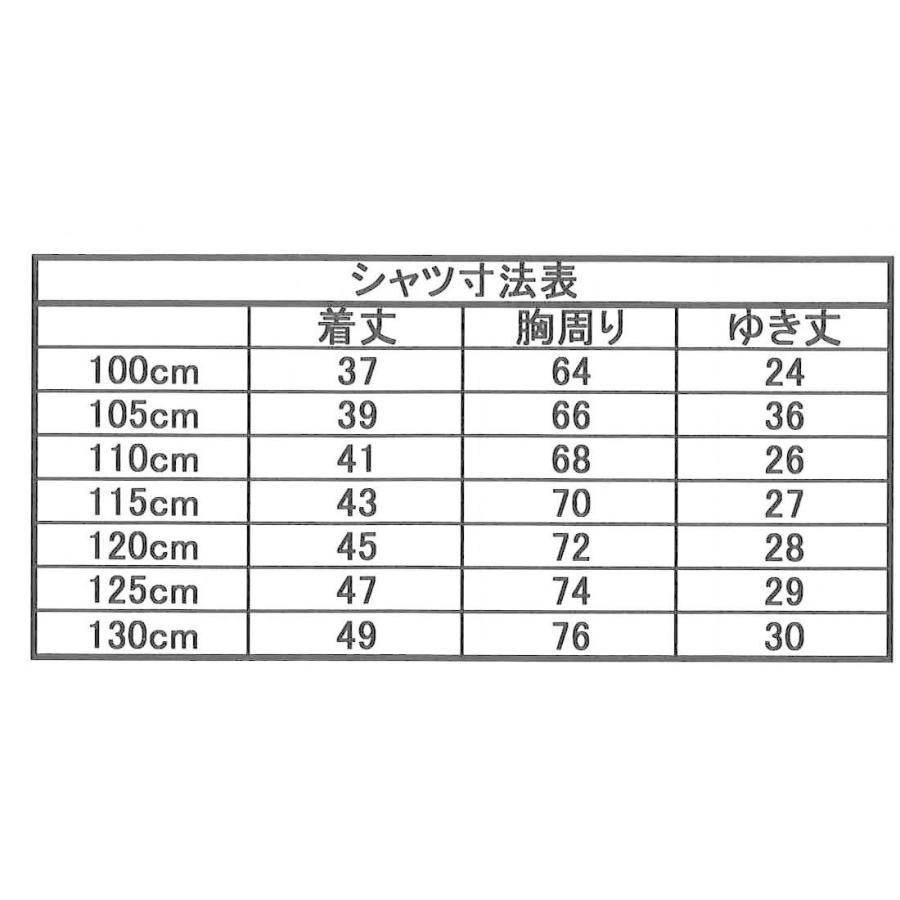 体操服（Vネック紺・赤）上下セット【125cm・130cm】子供用 あすつく
