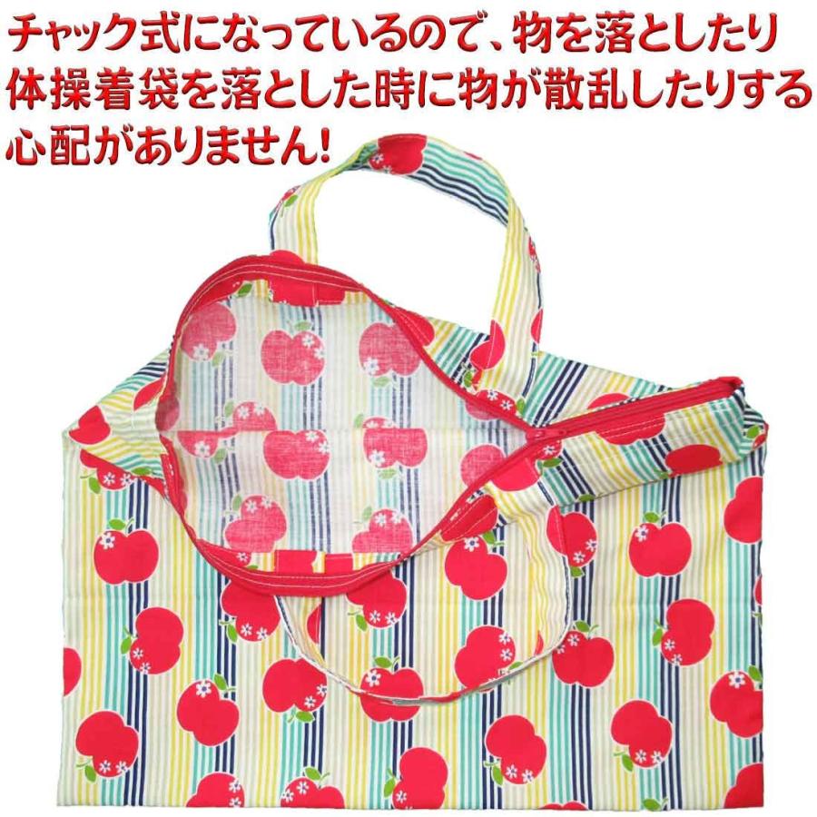 体操着袋 ストライプ×リンゴ柄 チャック付 レッスンバッグ ピアノ