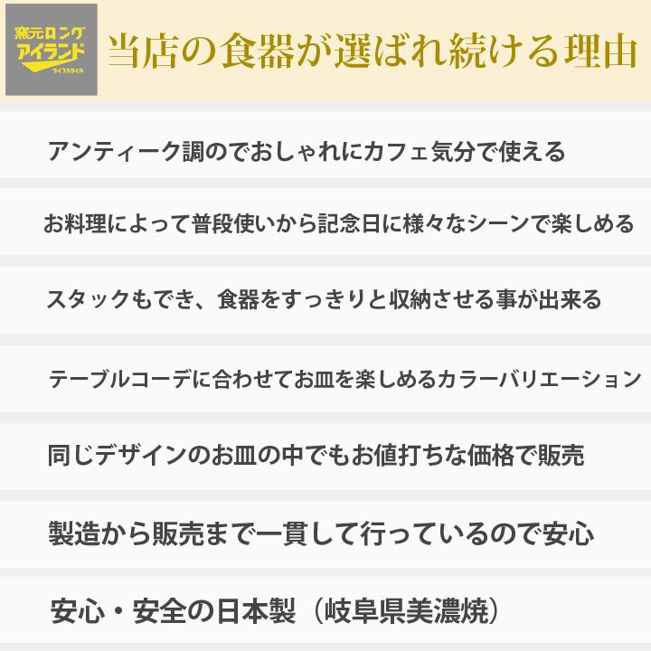 ホーソン オーバル プレート 19.5cm 4color 食器 おしゃれ 皿 中皿 お菓子 食器 取り皿 取皿 ケーキ皿 デザート皿 陶器 日本製 食洗機対応｜long-greenlabel｜06